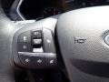 Magnetic Metallic - Escape SEL 4WD Photo No. 18