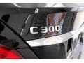 Black - C 300 Sedan Photo No. 27