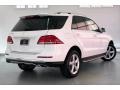Polar White - GLE 350 Photo No. 16