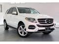 Polar White - GLE 350 Photo No. 34