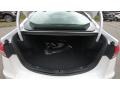 2020 White Platinum Ford Fusion Titanium  photo #22