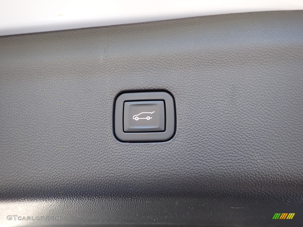 2020 Enclave Avenir AWD - White Frost Tricoat / Chestnut photo #11