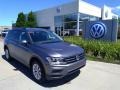 Platinum Gray Metallic 2020 Volkswagen Tiguan S 4MOTION