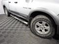 2010 Bright Silver Metallic Dodge Ram 1500 TRX4 Quad Cab 4x4  photo #3