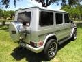 2002 Brilliant Silver Metallic Mercedes-Benz G 500  photo #9