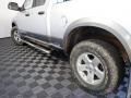 2010 Bright Silver Metallic Dodge Ram 1500 TRX4 Quad Cab 4x4  photo #7