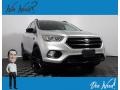 Ingot Silver 2017 Ford Escape SE