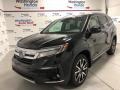 Crystal Black Pearl - Pilot Elite AWD Photo No. 1