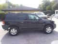 Black Clearcoat - Escape XLT V6 Photo No. 2
