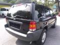 Black Clearcoat - Escape XLT V6 Photo No. 3