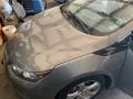 Pepperdust Metallic - Volt LT Photo No. 7