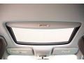 Lunar Silver Metallic - RDX  Photo No. 19
