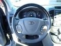Gray 2014 Kia Sedona EX Steering Wheel