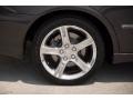 Graphite Gray Pearl - IS 300 Photo No. 30