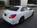 Polar White - C 300 Sedan Photo No. 2