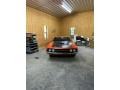 Calypso Coral - Torino Cobra SportsRoof Twister Special Photo No. 6
