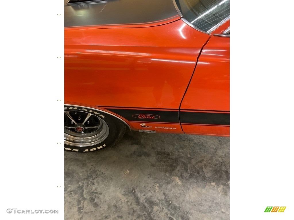 1970 Ford Torino Cobra SportsRoof Twister Special Marks and Logos Photo #139307827