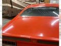 Calypso Coral - Torino Cobra SportsRoof Twister Special Photo No. 10