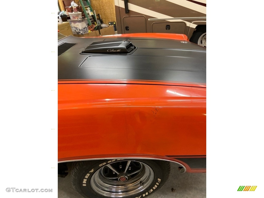 1970 Ford Torino Cobra SportsRoof Twister Special Marks and Logos Photo #139307839