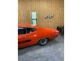 Calypso Coral - Torino Cobra SportsRoof Twister Special Photo No. 12