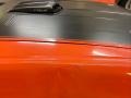Calypso Coral - Torino Cobra SportsRoof Twister Special Photo No. 13