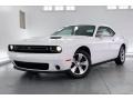 White Knuckle - Challenger SXT Photo No. 12