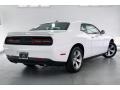 White Knuckle - Challenger SXT Photo No. 16
