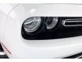 White Knuckle - Challenger SXT Photo No. 31