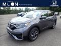 2020 Sonic Gray Pearl Honda CR-V EX AWD  photo #1