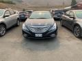 2013 Black Onyx Pearl Hyundai Sonata Limited #139320565