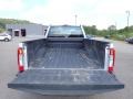 Ingot Silver - F250 Super Duty XL Crew Cab 4x4 Photo No. 12