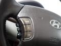 2009 Willow Gray Hyundai Sonata Limited V6  photo #35