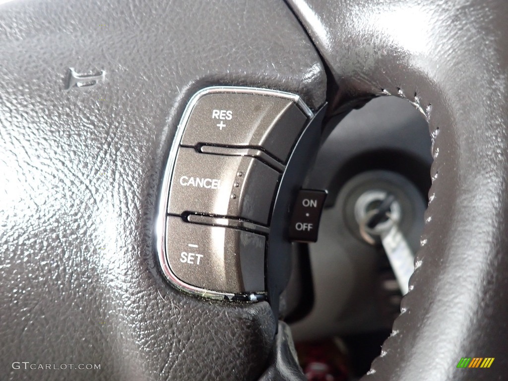 2009 Sonata Limited V6 - Willow Gray / Gray photo #36