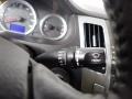 2009 Willow Gray Hyundai Sonata Limited V6  photo #37