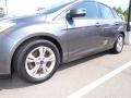 Sterling Gray - Focus SE Sedan Photo No. 6