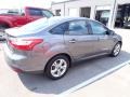 Sterling Gray - Focus SE Sedan Photo No. 12