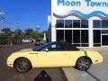 2002 Inspiration Yellow Ford Thunderbird Deluxe Roadster  photo #2