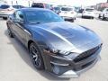 Magnetic 2020 Ford Mustang EcoBoost Premium Fastback Exterior