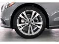 Selenite Grey Metallic - C 300 Coupe Photo No. 8