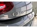 Selenite Grey Metallic - C 300 Coupe Photo No. 27
