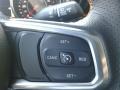 2020 Gator Jeep Gladiator Mojave 4x4  photo #21