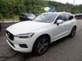  2021 XC60 T6 AWD Momentum Crystal White Metallic