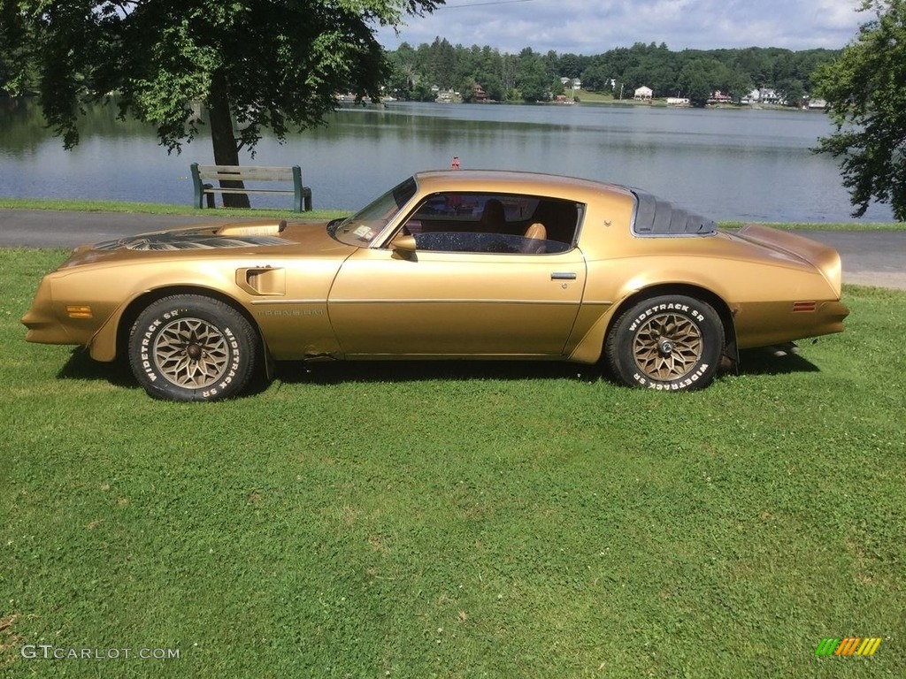 Solar Gold 1978 Pontiac Firebird Trans Am Coupe Exterior Photo #139381766