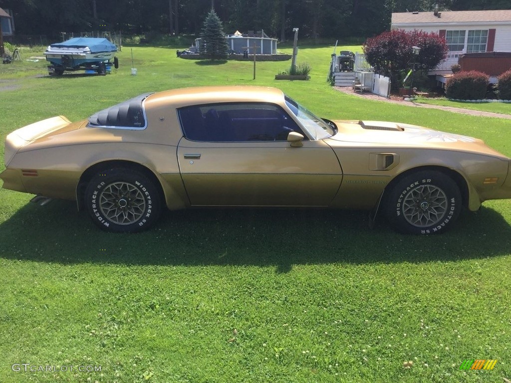 Solar Gold 1978 Pontiac Firebird Trans Am Coupe Exterior Photo #139381775