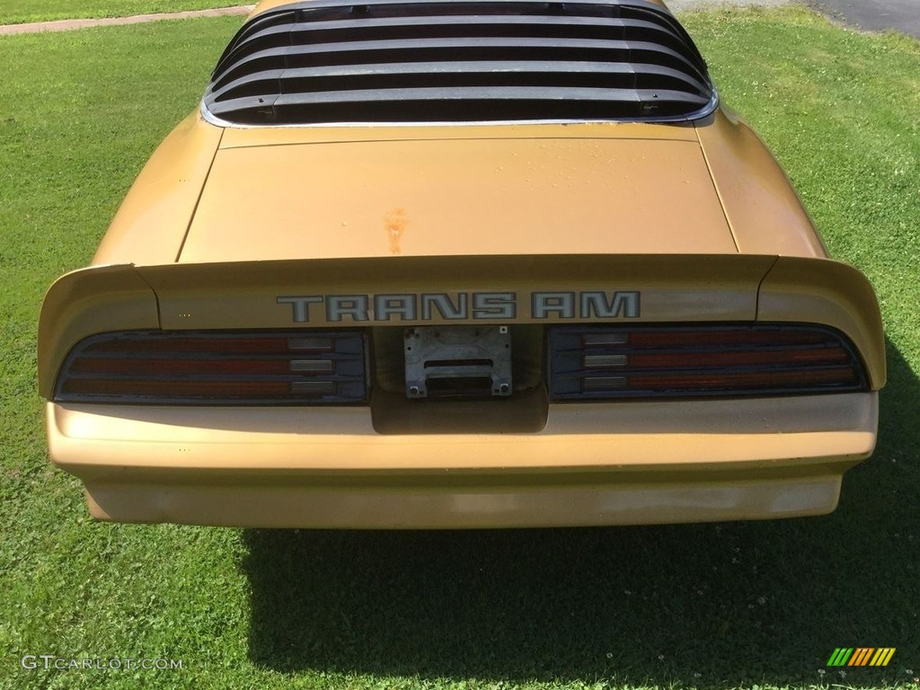 1978 Pontiac Firebird Trans Am Coupe Marks and Logos Photos