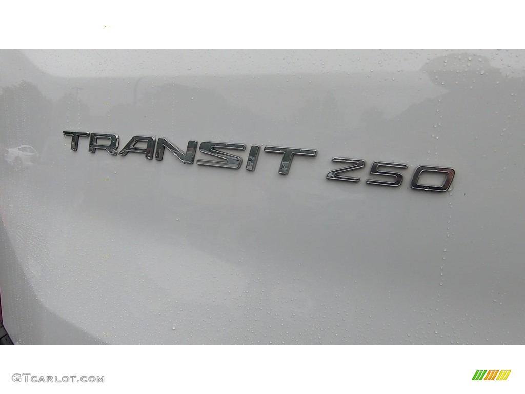 2019 Transit Van 250 LR Regular - Oxford White / Charcoal black photo #9