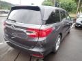Pacific Pewter Metallic - Odyssey EX-L Photo No. 5