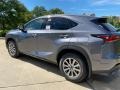 Nebula Gray Pearl - NX 300 AWD Photo No. 4