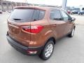 Canyon Ridge Metallic - EcoSport SE 4WD Photo No. 2