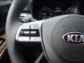 2021 Gravity Gray Kia Telluride SX AWD  photo #20